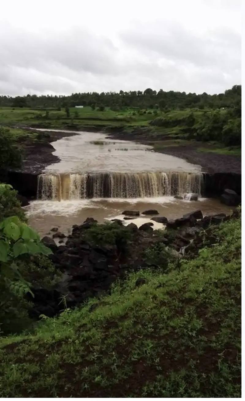 naidunia_image